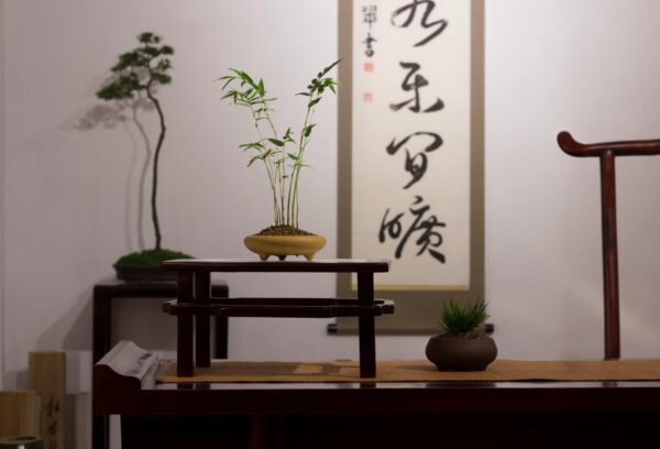 A tranquil indoor bonsai setup featuring a bamboo plant and Japanese art, creating a calm atmosphere.
